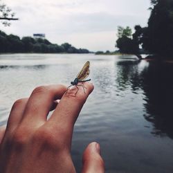 Cropped image of man in water