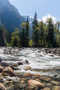 Stream flowing through rocks in forest against sky