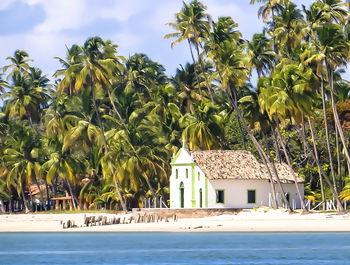 Palm trees on beach against sky