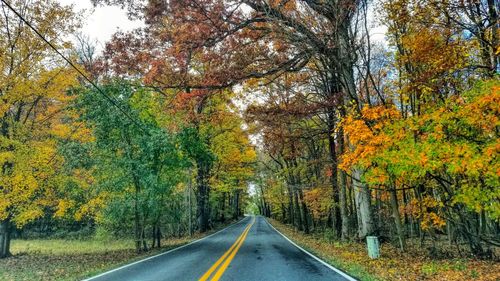 Road amidst trees during autumn