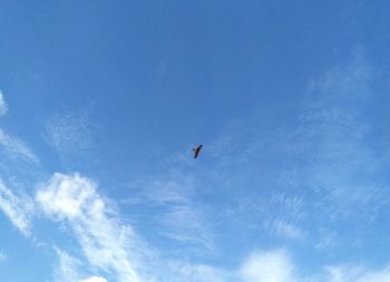 Low angle view of birds flying in sky