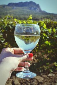 Close-up of woman holding wineglass