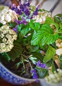 Close-up of purple flowers