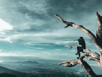 Side view of woman sitting on branch while photographing landscape against sky