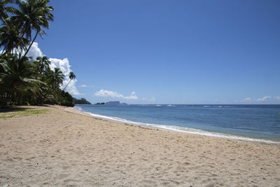 Empty sandy beach, with clear waters and leaning palm trees, samoa