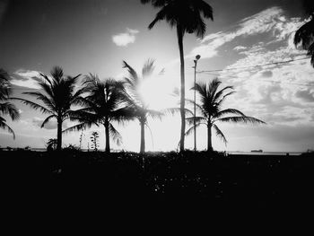 Silhouette palm trees against sky during sunset