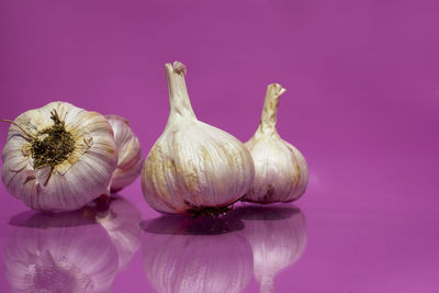 Close-up of garlic against pink background