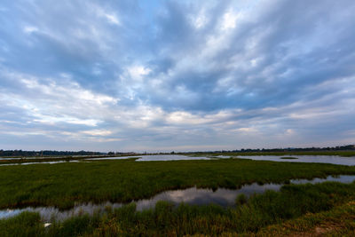 Scenic view of landscape against sky