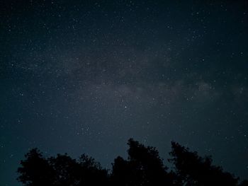 Low angle view of silhouette trees against star field at night