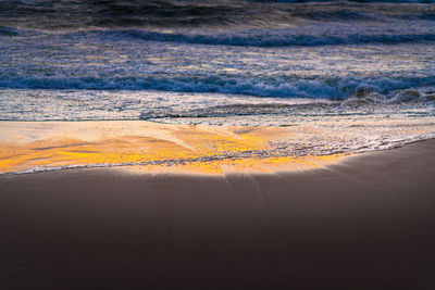 Scenic view of beach