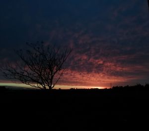 Silhouette bare tree on field against romantic sky at sunset