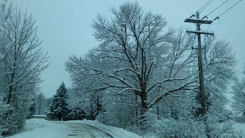 Bare trees on snow covered land against sky