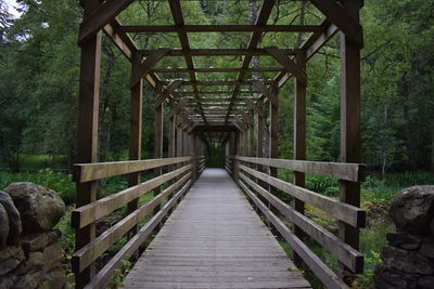 Footbridge in forest