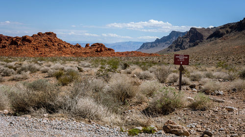 Driving and walking through the valley of fire state park, formed by shifting sand dunes