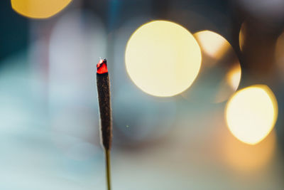 Close-up of illuminated lighting equipment
