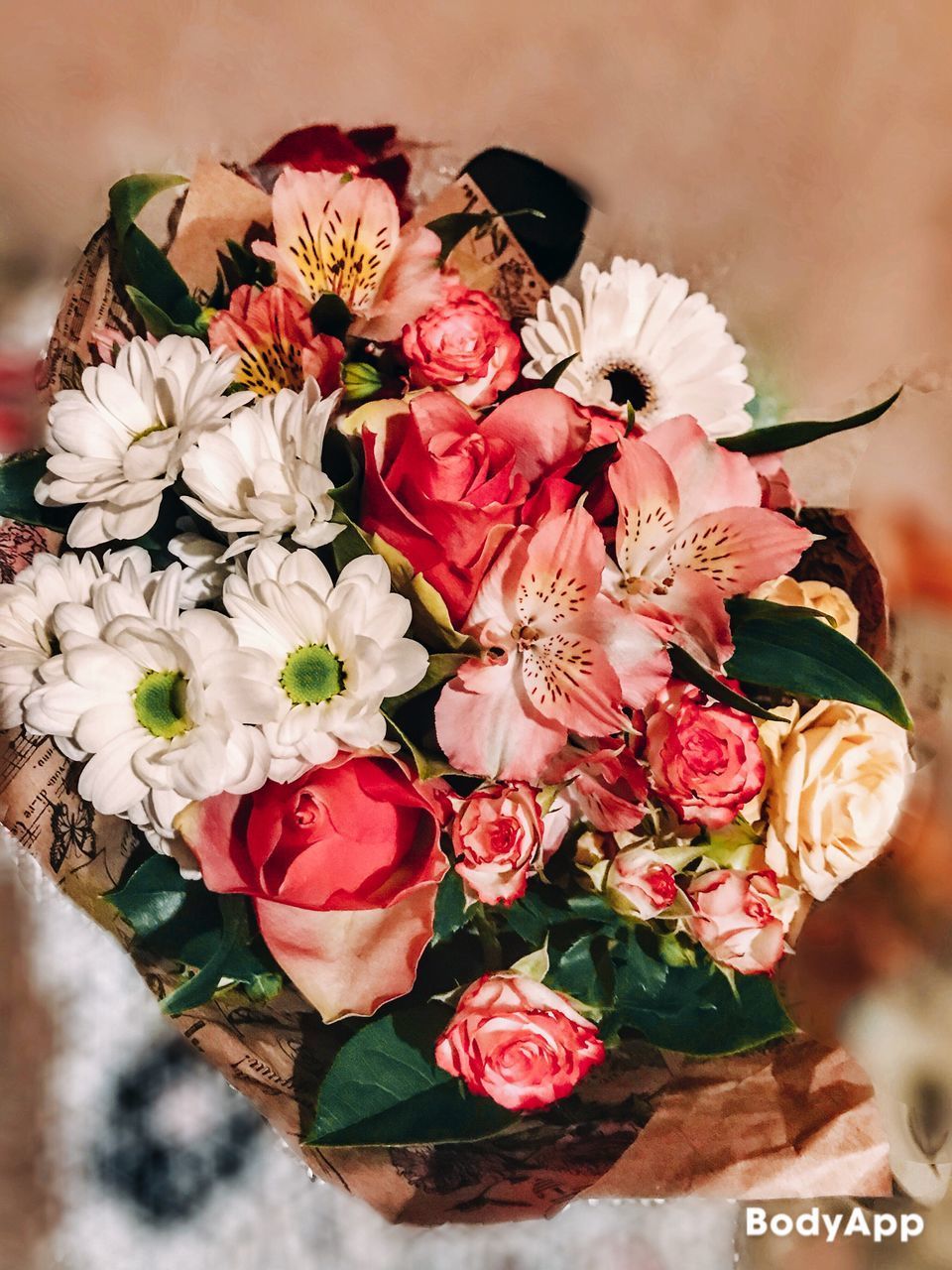 CLOSE-UP OF PINK ROSES ON PLANT