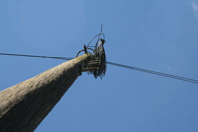 Low angle view of bird perching on electricity pylon against blue sky