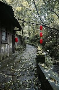 Built structure with trees in background