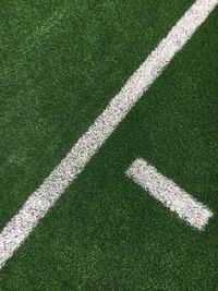 High angle view of zebra crossing on field