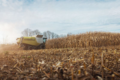 A combine harvesting corn with a modern machine, effective harvest