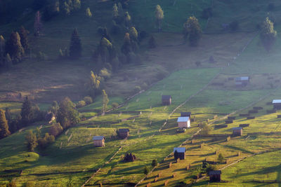 High angle view of agricultural field