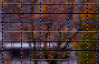 Full frame shot of metal fence