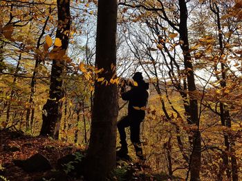 Silhouette man standing by tree in forest during autumn