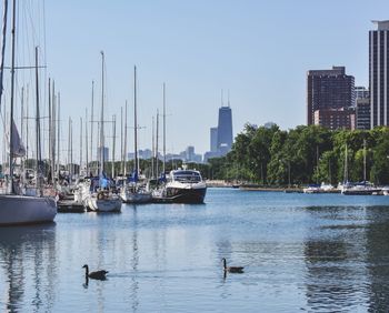 Boats moored at harbor against clear sky