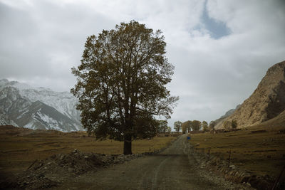 Scenic view of road amidst trees against sky
