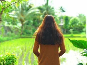 Rear view of woman standing against plants