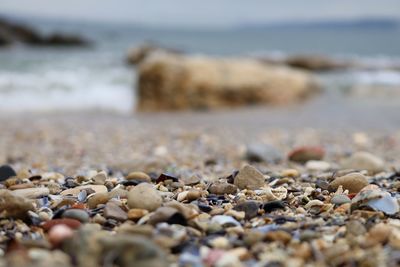 Surface level view of pebbles and stones at beach