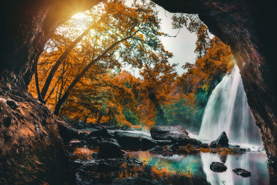 Panoramic view of waterfall in forest during autumn