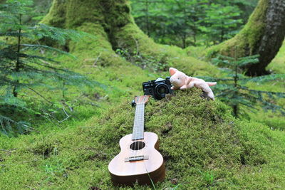 Man photographing in forest