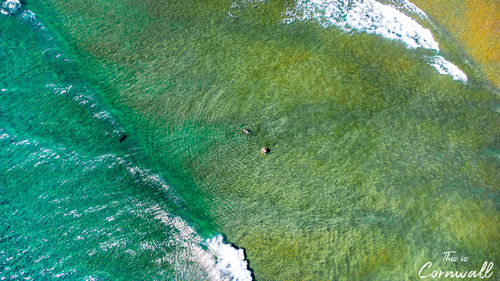 High angle view of people in sea