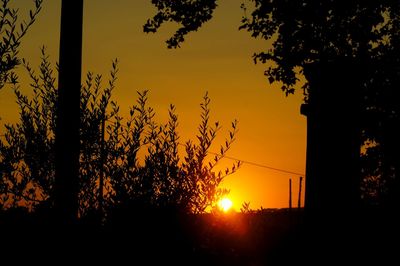 Silhouette trees against sky during sunset