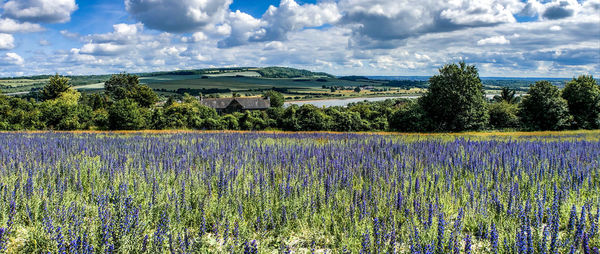 Scenic view of field against cloudy sky