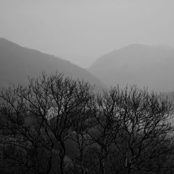 Silhouette bare tree and mountains against sky