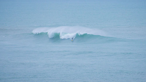 View of a surfer in the sea