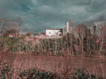 Bare trees and buildings against sky