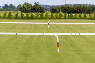 Several free fields are prepared for playing croquet, the field is cut with a wicket and signs