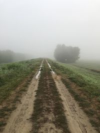 Dirt road amidst trees against sky