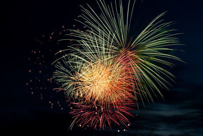 Low angle view of firework display at night