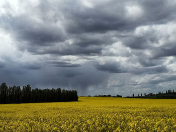 Scenic view of field against cloudy sky