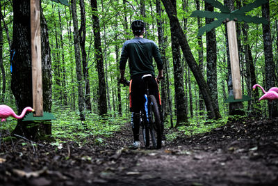 Rear view of man with bicycle standing in forest