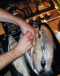 High angle view of man working at fish