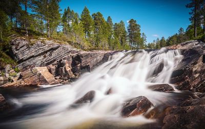 Scenic view of waterfall in forest