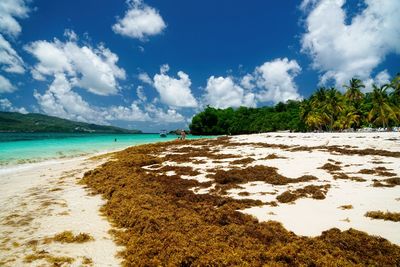 Scenic view of beach against sky