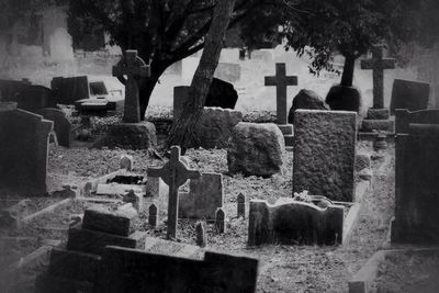 Tombstones in a cemetery