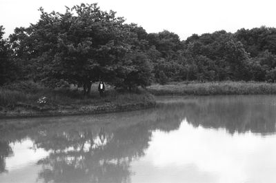 Scenic view of lake by trees against sky