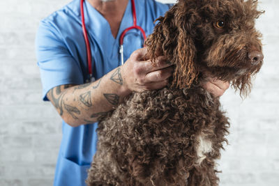 Midsection of woman with dogs